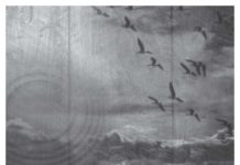 Listino prezzi F.A.I.R. 2017 Listino PUBBLICO 2017