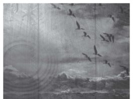 Listino prezzi F.A.I.R. 2017 Listino PUBBLICO 2017