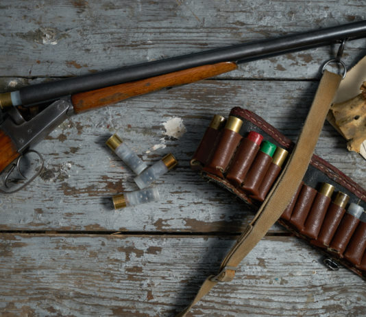 Per un trasporto all’estero meno complicato