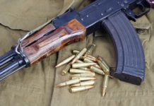 Prorogata la campagna “Albania senza armi”