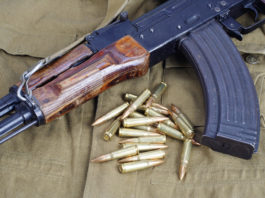 Prorogata la campagna “Albania senza armi”