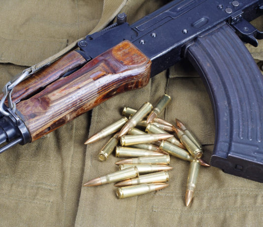 Prorogata la campagna “Albania senza armi”