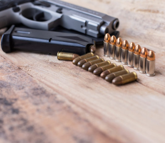 Prova la pistola nei campi, colpisce i vetri di una ditta di vernici