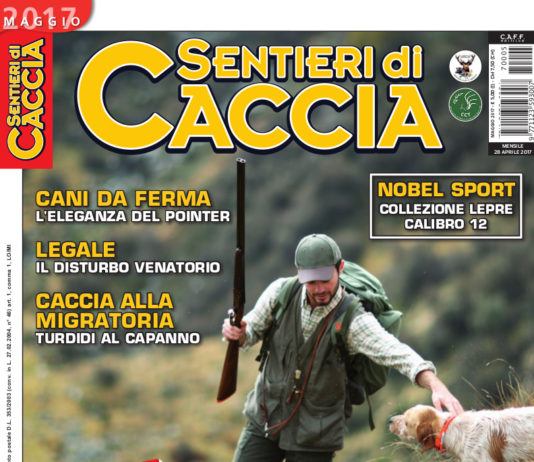 Sentieri di Caccia maggio 2017 in edicola dal 28 aprile Sentieri di Caccia maggio 2017