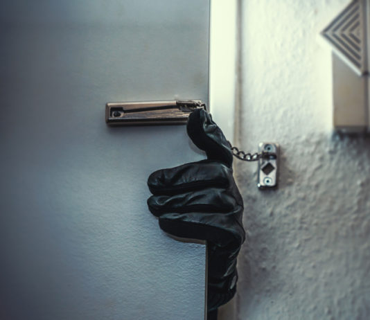 Spara in aria per mettere in fuga i ladri: armi sequestrate