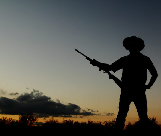 A chi si possono vendere le armi? Polemiche sulla proposta di legge