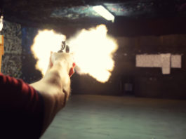 Sanzionato per violazione della legge 157, perde il porto per uso sportivo violazione della legge per la protezione della fauna