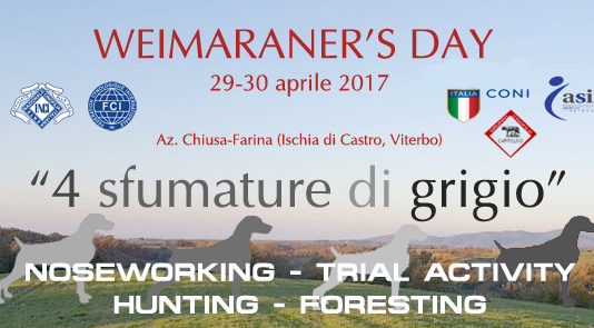Weimaraner: appuntamento il 29 e 30 aprile in Maremma weimaraner