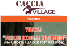Wildlife economy del cratere, una risposta alla crisi post terremoto. Se ne parla a Caccia Village wildlife economy caccia village