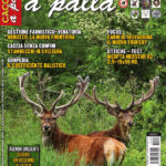 Cacciare a Palla giugno 2017 in edicola dal 17 maggio Cacciare a Palla giugno 2017 in edicola dal 17 maggio