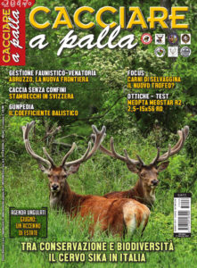 Cacciare a Palla giugno 2017 in edicola dal 17 maggio