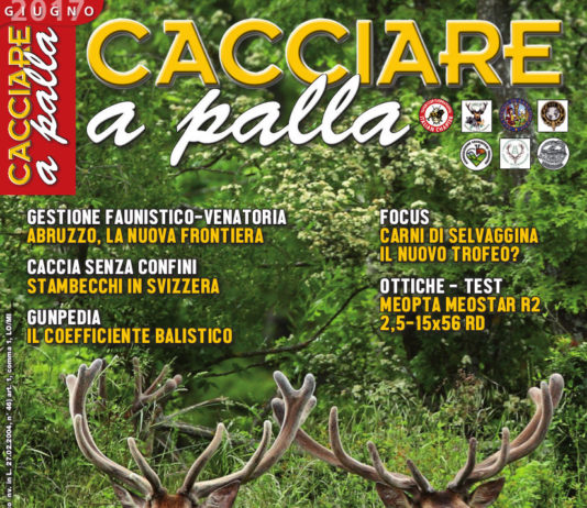 Cacciare a Palla giugno 2017 in edicola dal 17 maggio Cacciare a Palla giugno 2017 in edicola dal 17 maggio