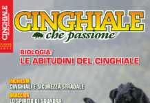Cinghiale che Passione giugno-luglio 2017 in edicola dal 20 maggio Cinghiale che Passione giugno-luglio 2017