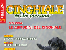 Cinghiale che Passione giugno-luglio 2017 in edicola dal 20 maggio Cinghiale che Passione giugno-luglio 2017