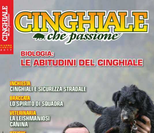 Cinghiale che Passione giugno-luglio 2017 in edicola dal 20 maggio Cinghiale che Passione giugno-luglio 2017