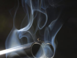 Esplode un colpo di fucile, poi salta giù dal balcone