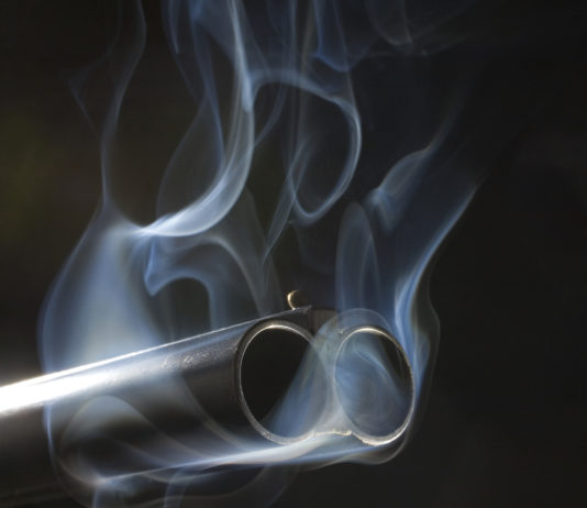 Esplode un colpo di fucile, poi salta giù dal balcone