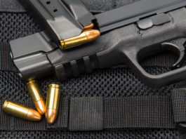 Gli sbranano il cane, torna con la pistola: finisce con 19 armi sequestrate