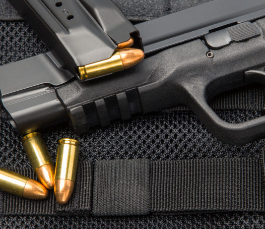 Gli sbranano il cane, torna con la pistola: finisce con 19 armi sequestrate