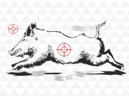 Il programma del circuito Browning Cinghiale Corrente 2017 Il programma del circuito Browning Cinghiale Corrente 2017