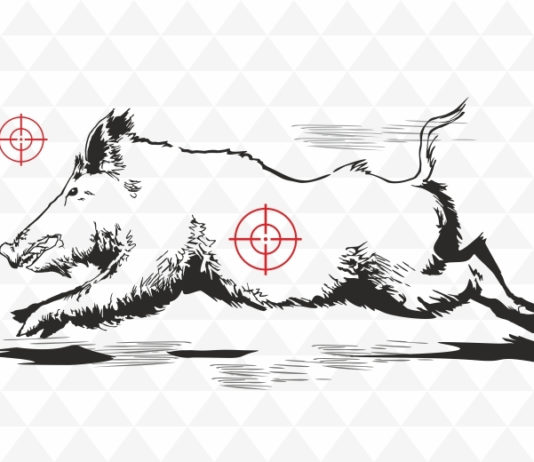 Il programma del circuito Browning Cinghiale Corrente 2017 Il programma del circuito Browning Cinghiale Corrente 2017