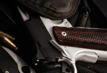 Sulla legittima difesa la destra si spacca Lupi Maullu