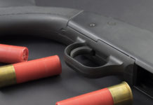 Ma quanti sono davvero? Porto d'armi in corso di validità