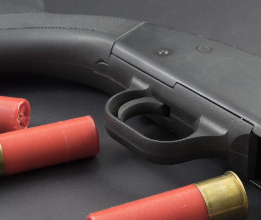 Ma quanti sono davvero? Porto d'armi in corso di validità