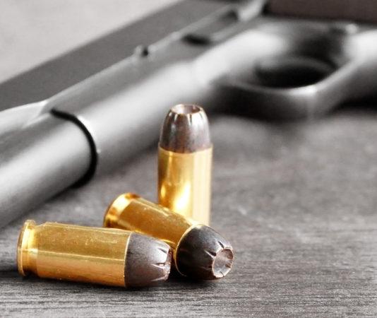 «Il possesso legale di armi è un diritto inviolabile» Possesso legale diritto inviolabile