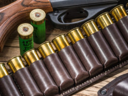 Ma che c’entrano i precedenti penali dei parenti? Precedenti penali dei parenti