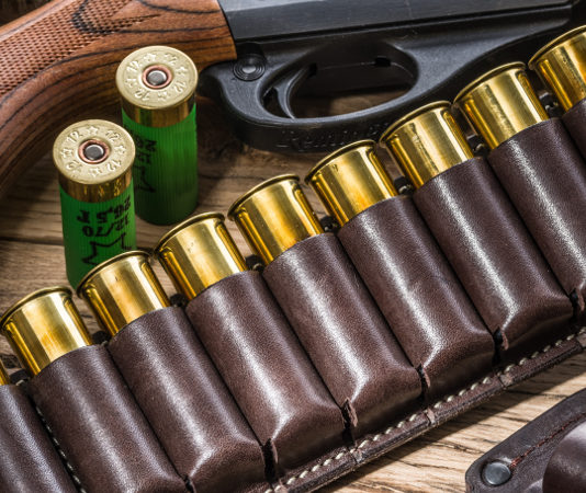 Ma che c’entrano i precedenti penali dei parenti? Precedenti penali dei parenti