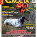 Sentieri di Caccia giugno 2017 in edicola dal 27 maggio Sentieri di Caccia giugno 2017