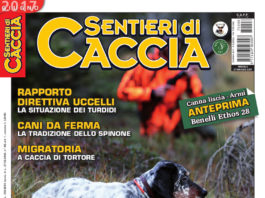 Sentieri di Caccia giugno 2017 in edicola dal 27 maggio Sentieri di Caccia giugno 2017
