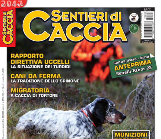 Sentieri di Caccia giugno 2017 in edicola dal 27 maggio Sentieri di Caccia giugno 2017
