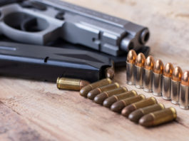 «Lanciamo i Comitati Free Guns» Stefano Maullu Comitati Free Guns