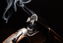 Uccise il gatto dei vicini, condannato. Ora rischia licenza e porto d’armi Uccise il gatto dei vicini