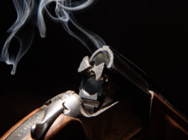 Uccise il gatto dei vicini, condannato. Ora rischia licenza e porto d’armi Uccise il gatto dei vicini