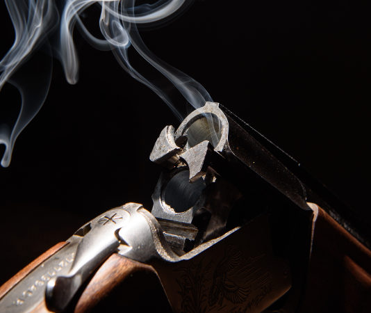 Uccise il gatto dei vicini, condannato. Ora rischia licenza e porto d’armi Uccise il gatto dei vicini