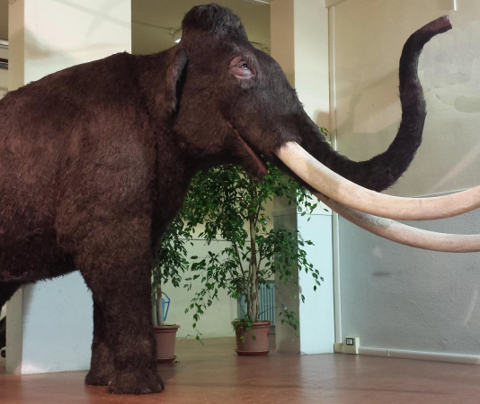 Caccia Village: la caccia dei nostri antenati caccia village mammut