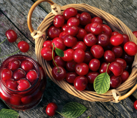 «Mi rubano le ciliegie, venite subito o sparo» «Mi rubano le ciliegie, venite subito o sparo»