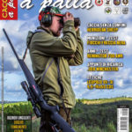Cacciare a Palla luglio 2017 in edicola dal 17 giugno Cacciare a Palla luglio 2017