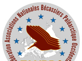 Fanbpo Florence 2017, sabato 17 giugno la Conferenza internazionale sulla beccaccia FANBPO