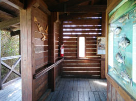 La riqualificazione delle aree passa anche dai capanni La Fondazione Una Onlus ha stanziato 7.000 euro per la manutenzione straordinaria di un capanno del Parco della Maremma.