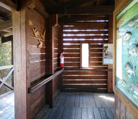 La riqualificazione delle aree passa anche dai capanni La Fondazione Una Onlus ha stanziato 7.000 euro per la manutenzione straordinaria di un capanno del Parco della Maremma.