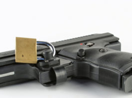 Ricezione Direttiva Armi, il granello nell’ingranaggio Repubblica Ceca Direttiva Armi