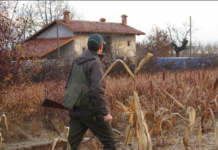 Piemonte: fronte comune delle associazioni venatorie contro il calendario venatorio piemonte calendario venatorio