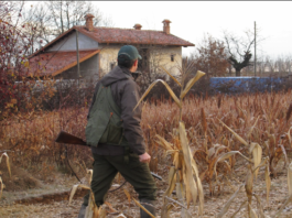 Piemonte: fronte comune delle associazioni venatorie contro il calendario venatorio piemonte calendario venatorio