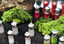 Gualandi: borre-proiettile per la caccia al cinghiale Gualandi