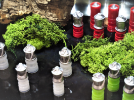 Gualandi: borre-proiettile per la caccia al cinghiale Gualandi