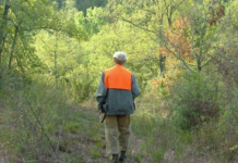 Corte costituzionale: il commento di Anuu alla sentenza contro la Regione Liguria corte costituzionale